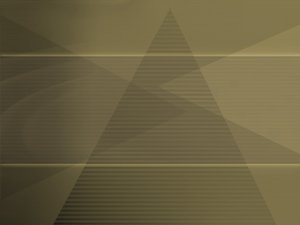 公司治理能力提升的实战路径